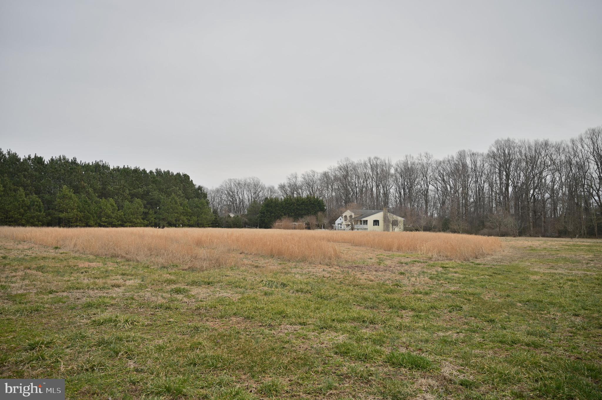 11132 River Road Ridgely, MD 21660 - Photo 20 of 63 Gallery Image 20