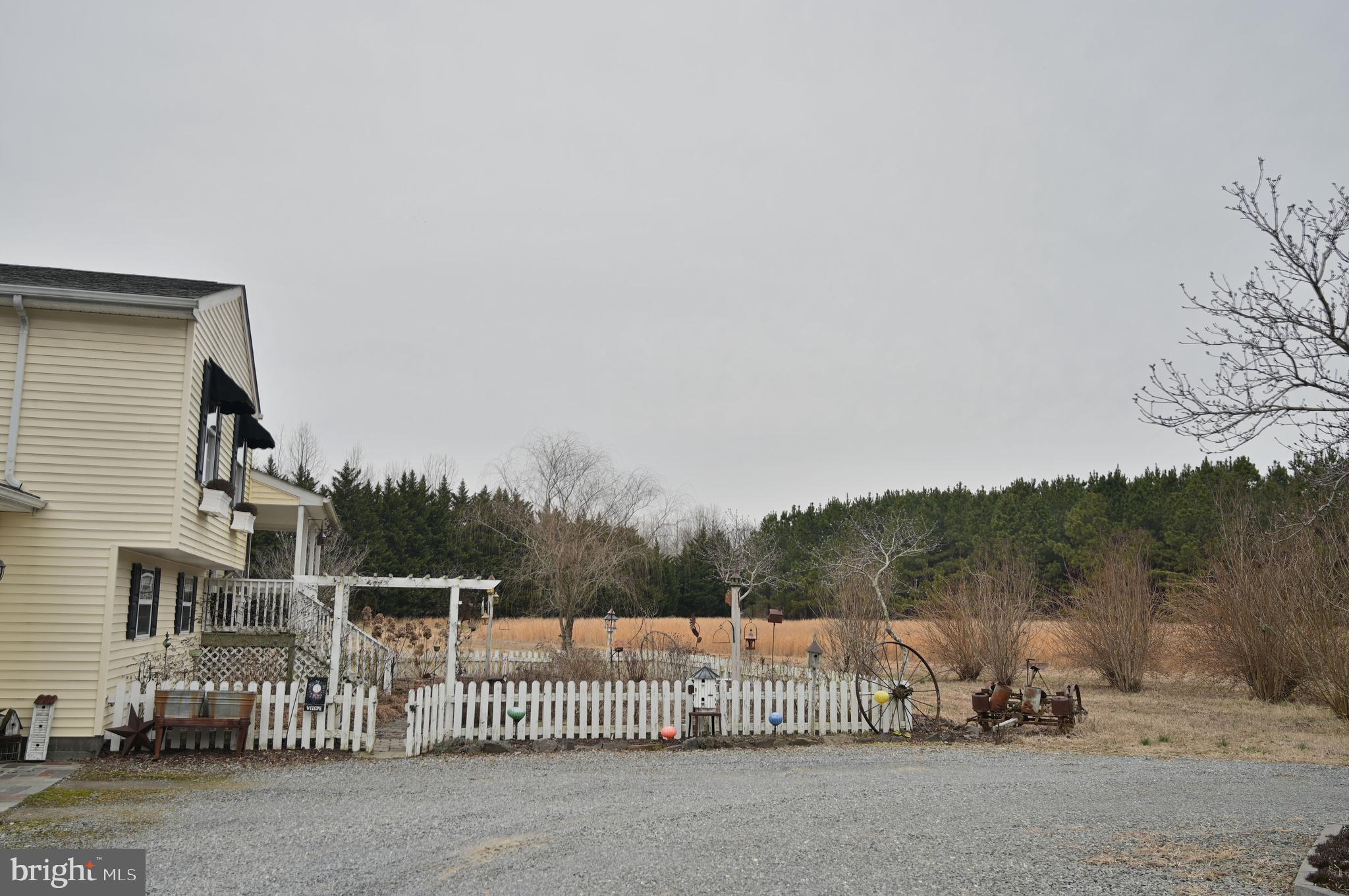 11132 River Road Ridgely, MD 21660 - Photo 3 of 63 Gallery Image 3