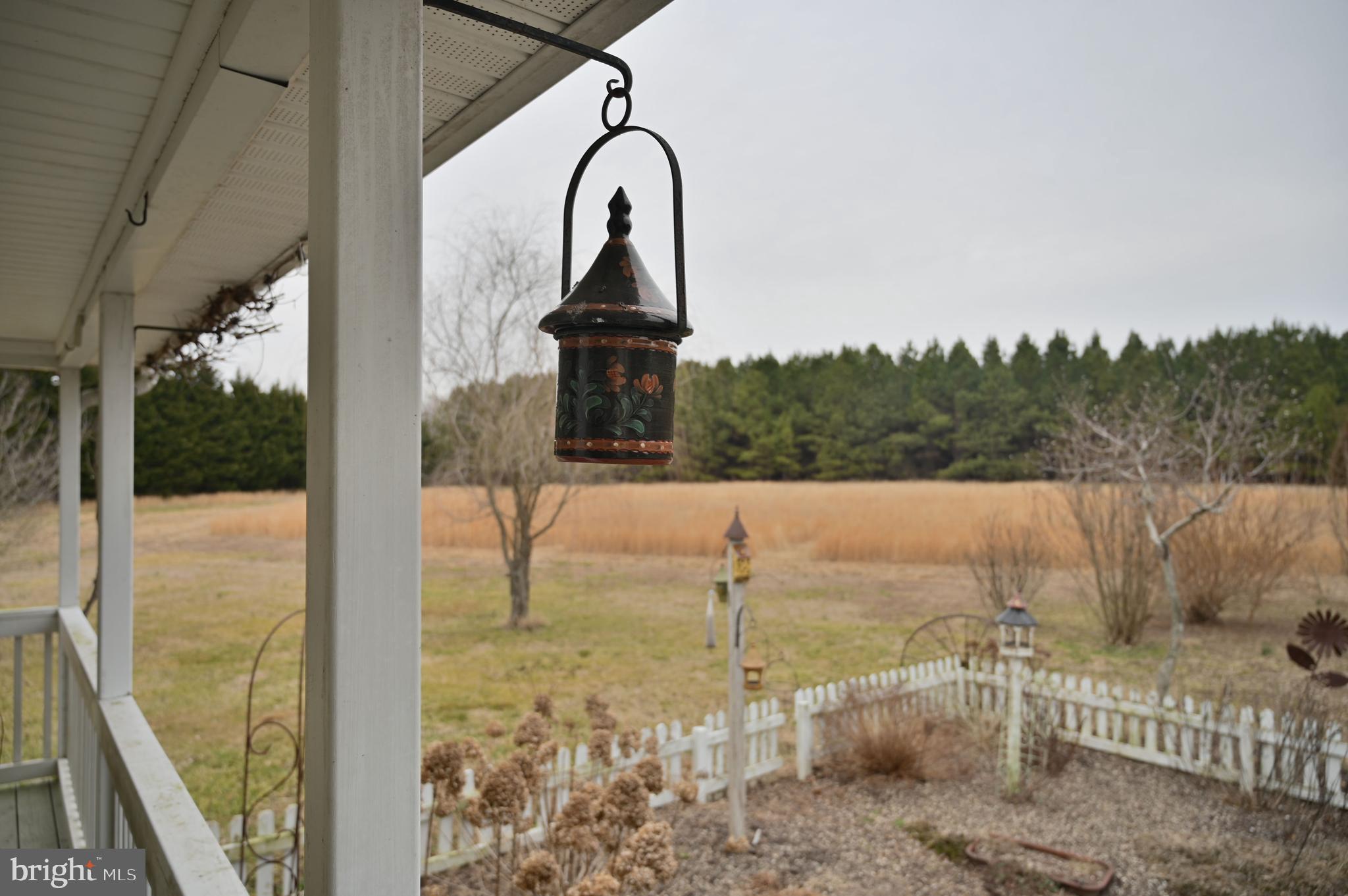 11132 River Road Ridgely, MD 21660 - Photo 4 of 63 Gallery Image 4