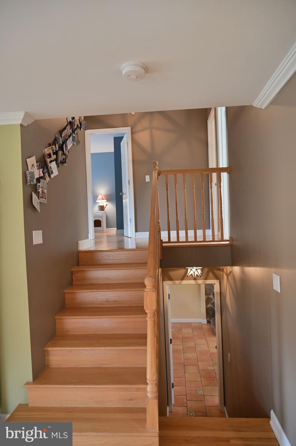 11132 River Road Ridgely, MD 21660 - Photo 36 of 63 Gallery Image 36