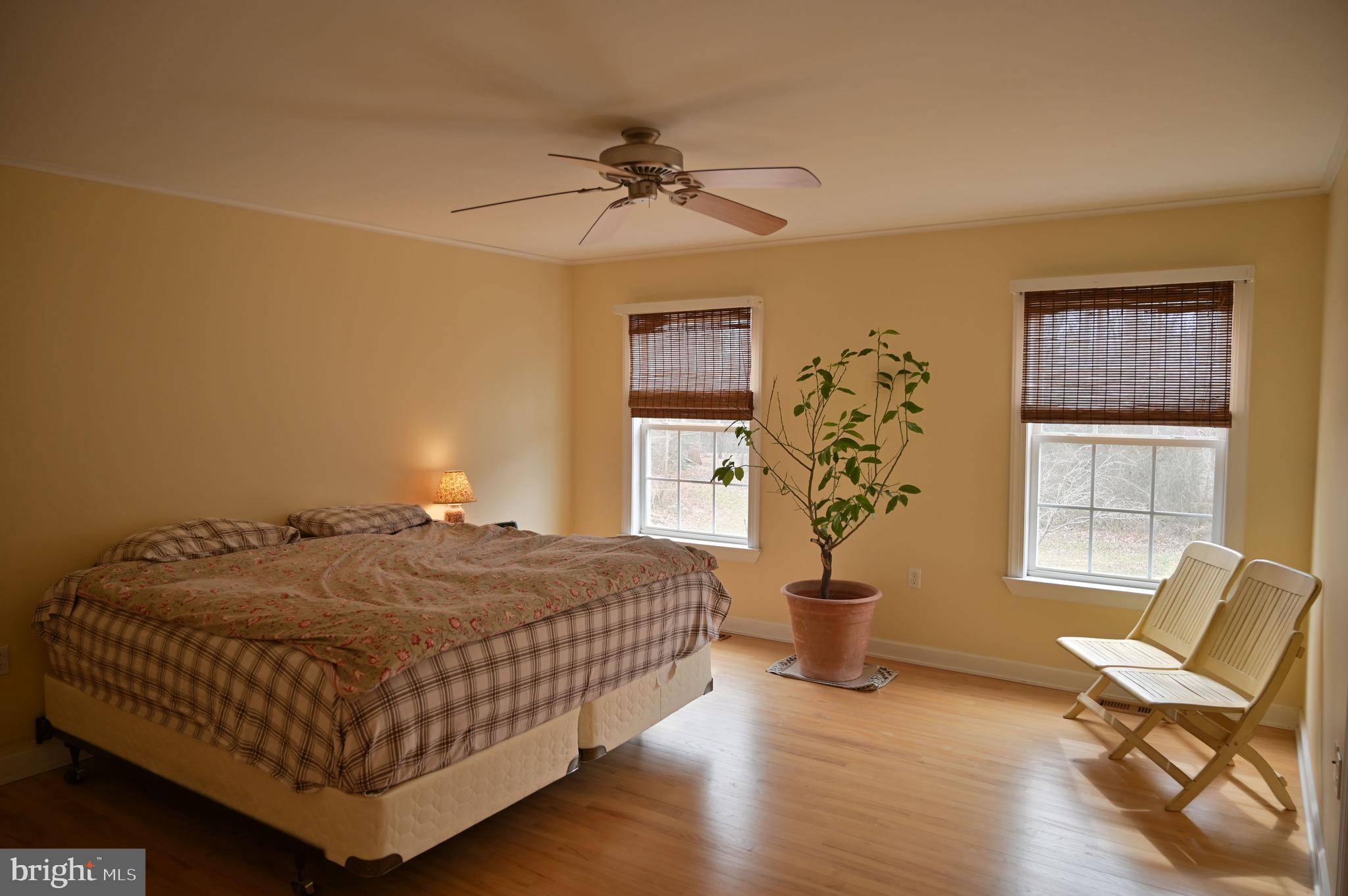 11132 River Road Ridgely, MD 21660 - Photo 38 of 63 Gallery Image 38