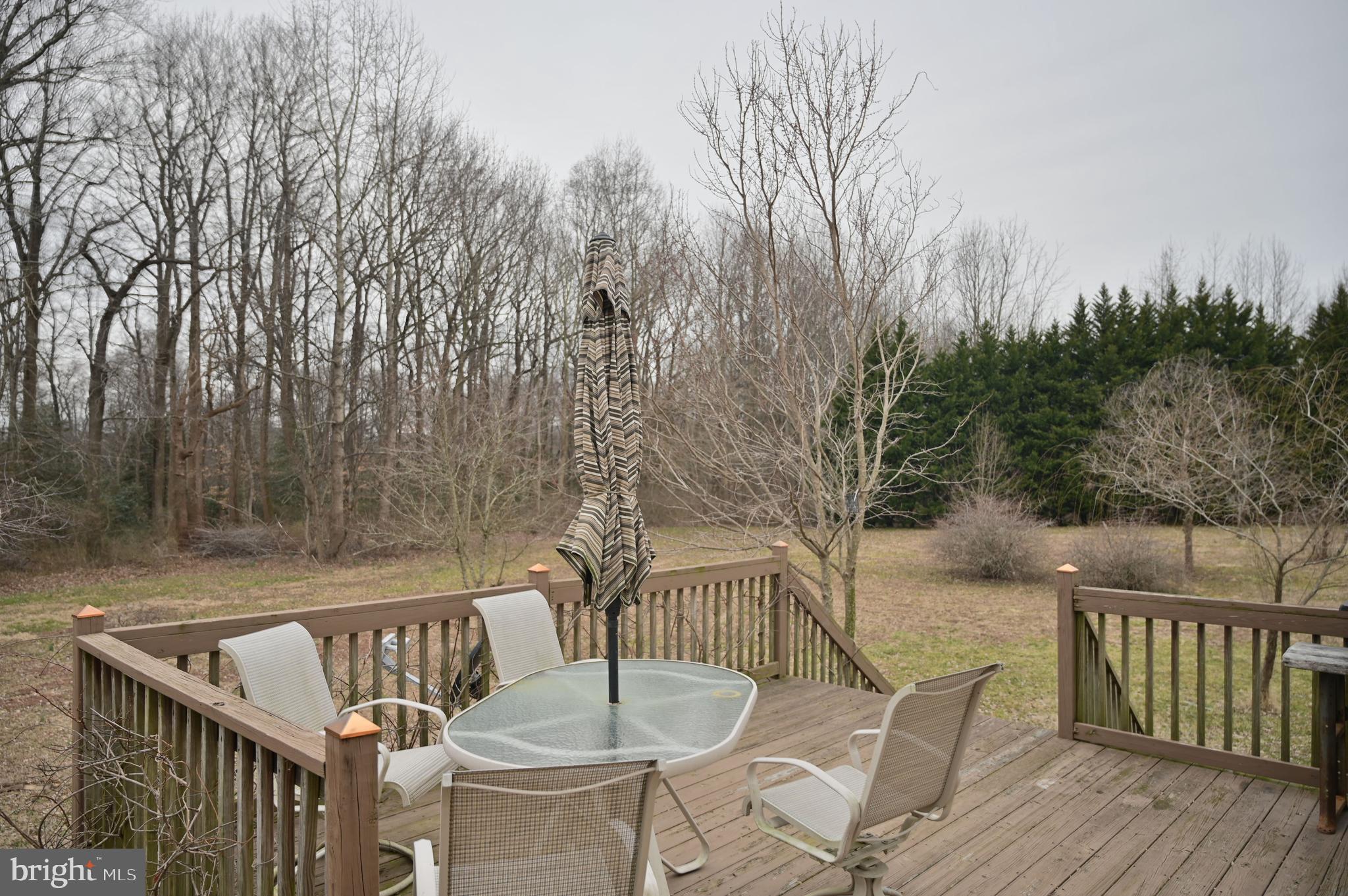 11132 River Road Ridgely, MD 21660 - Photo 9 of 63 Gallery Image 9