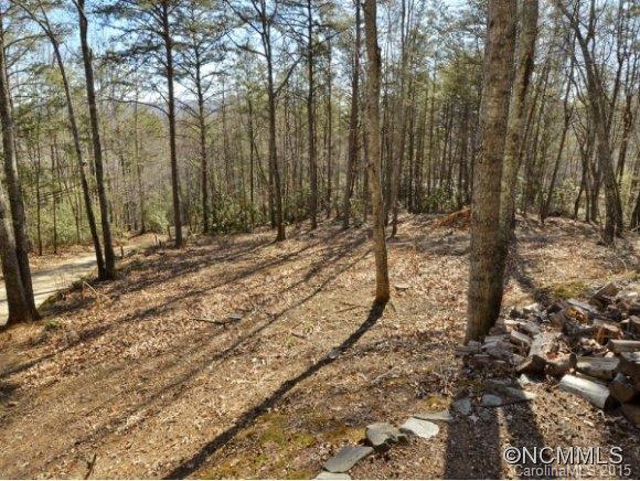 68 Ballard Creek Road Fairview, NC 28730 - Photo 4 of 10 Gallery Image 4