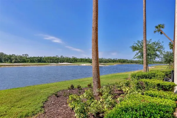 an aerial view of residential houses with outdoor space and river