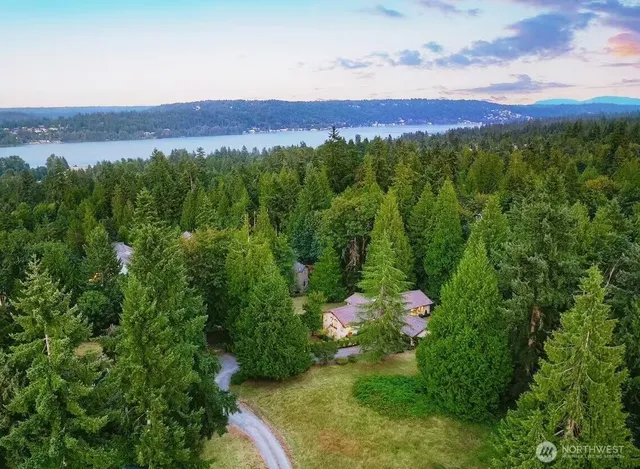 a view of a lush green hillside and a houses