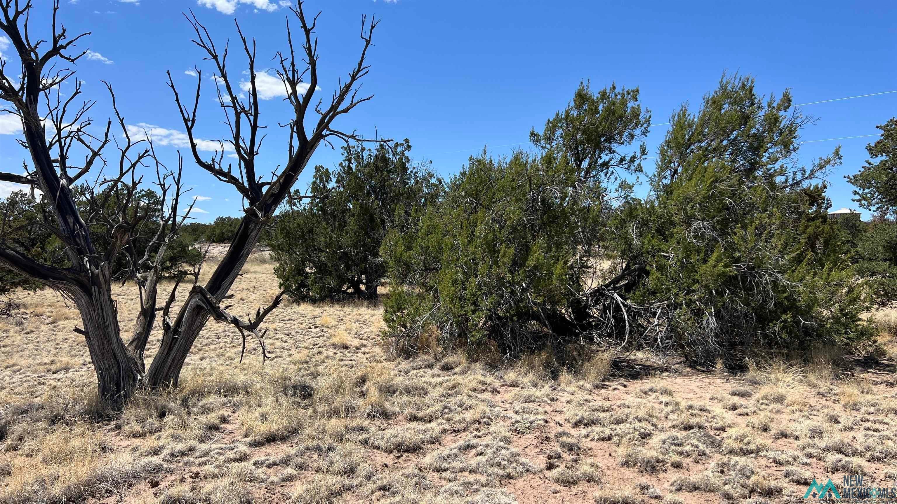 87 Warpath Road Quemado, NM 87829 - Photo 9 of 13 Gallery Image 9