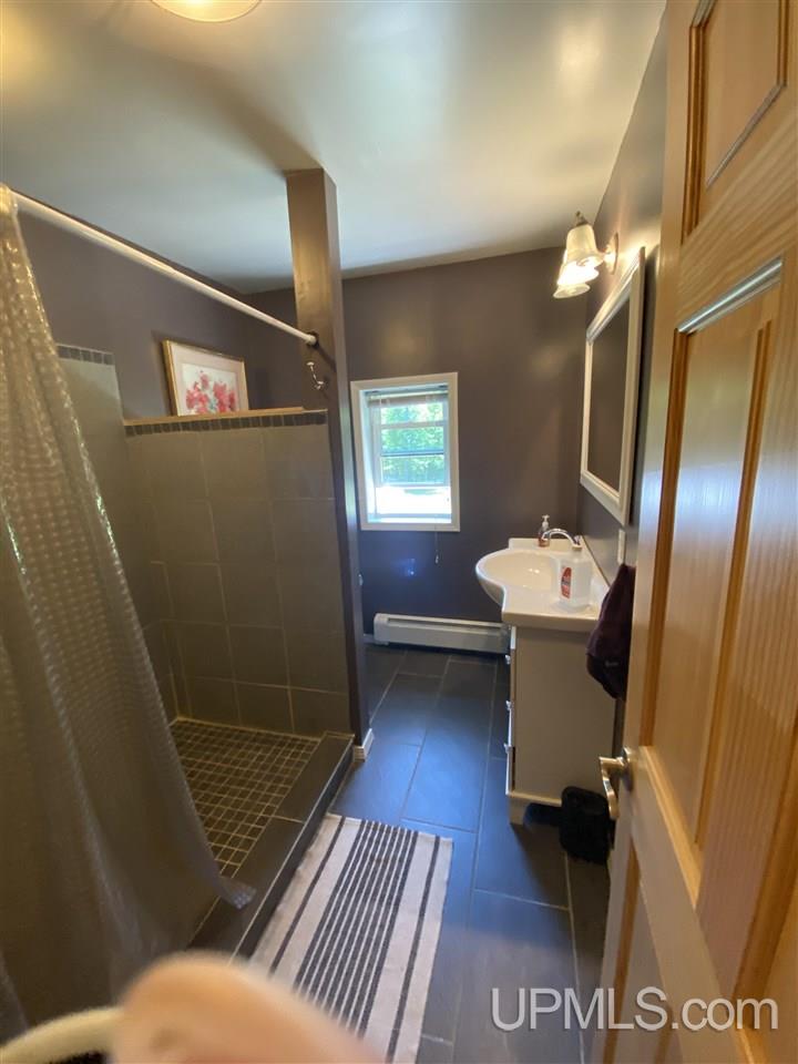 9815 North Ames Lake Road Seney, MI 49883 - Photo 19 of 23 Gallery Image 19