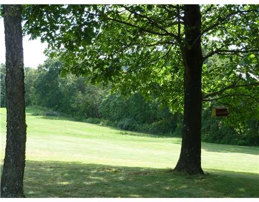 143 Whiteshill Road Rochester, PA 15074 - Photo 18 of 18 Land/Lot. A picture is worth a thousand words is so true with this property. Call for your tour today!