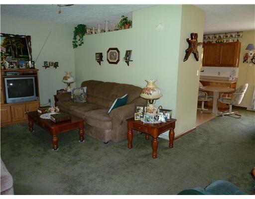 143 Whiteshill Road Rochester, PA 15074 - Photo 7 of 18 Living Room.