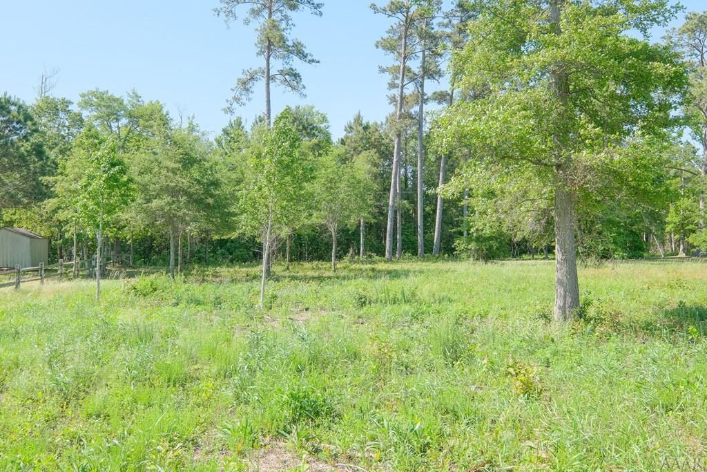 Na Newberry Landing Roper, NC 27970 - Photo 5 of 9