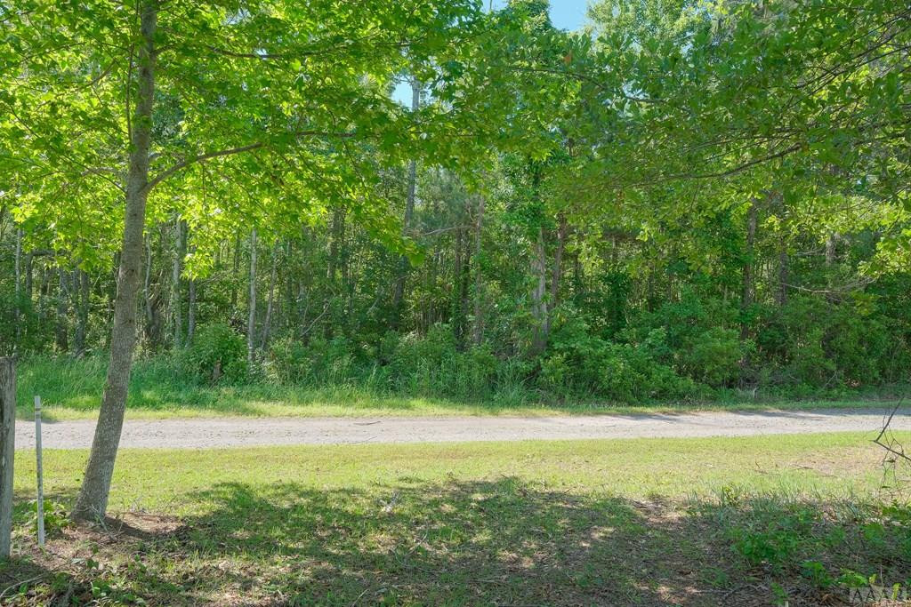 Na Newberry Landing Roper, NC 27970 - Photo 7 of 9