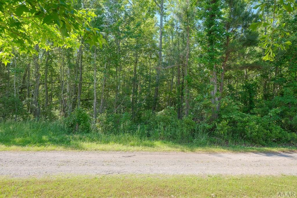 Na Newberry Landing Roper, NC 27970 - Photo 8 of 9