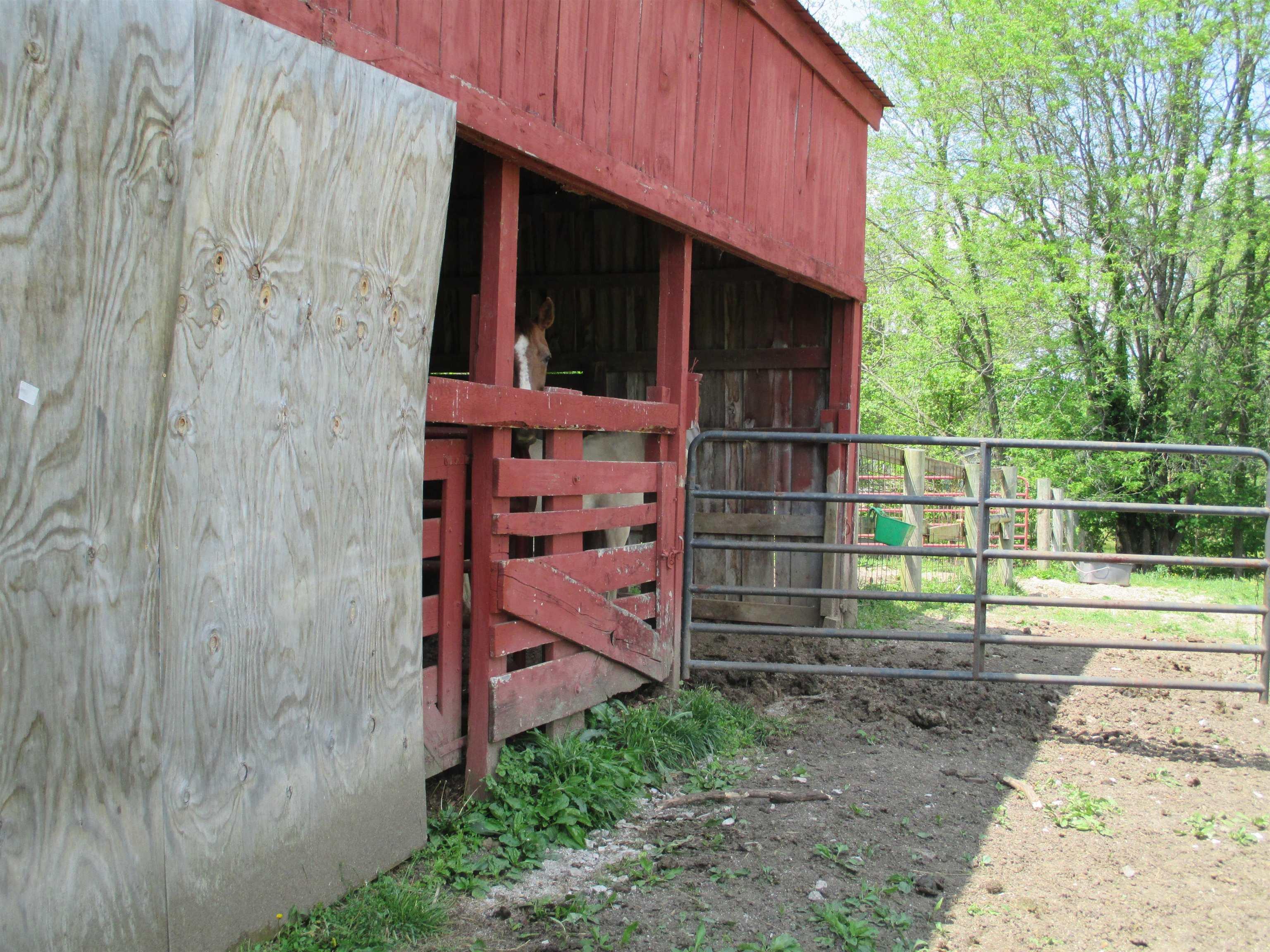 13059 East St Road Springville, IN 47462 - Photo 26 of 35 Gallery Image 26