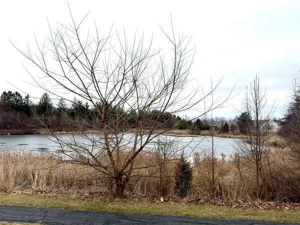 $2,300 | 111 West Chatham Lane, Round Lake, IL 60073