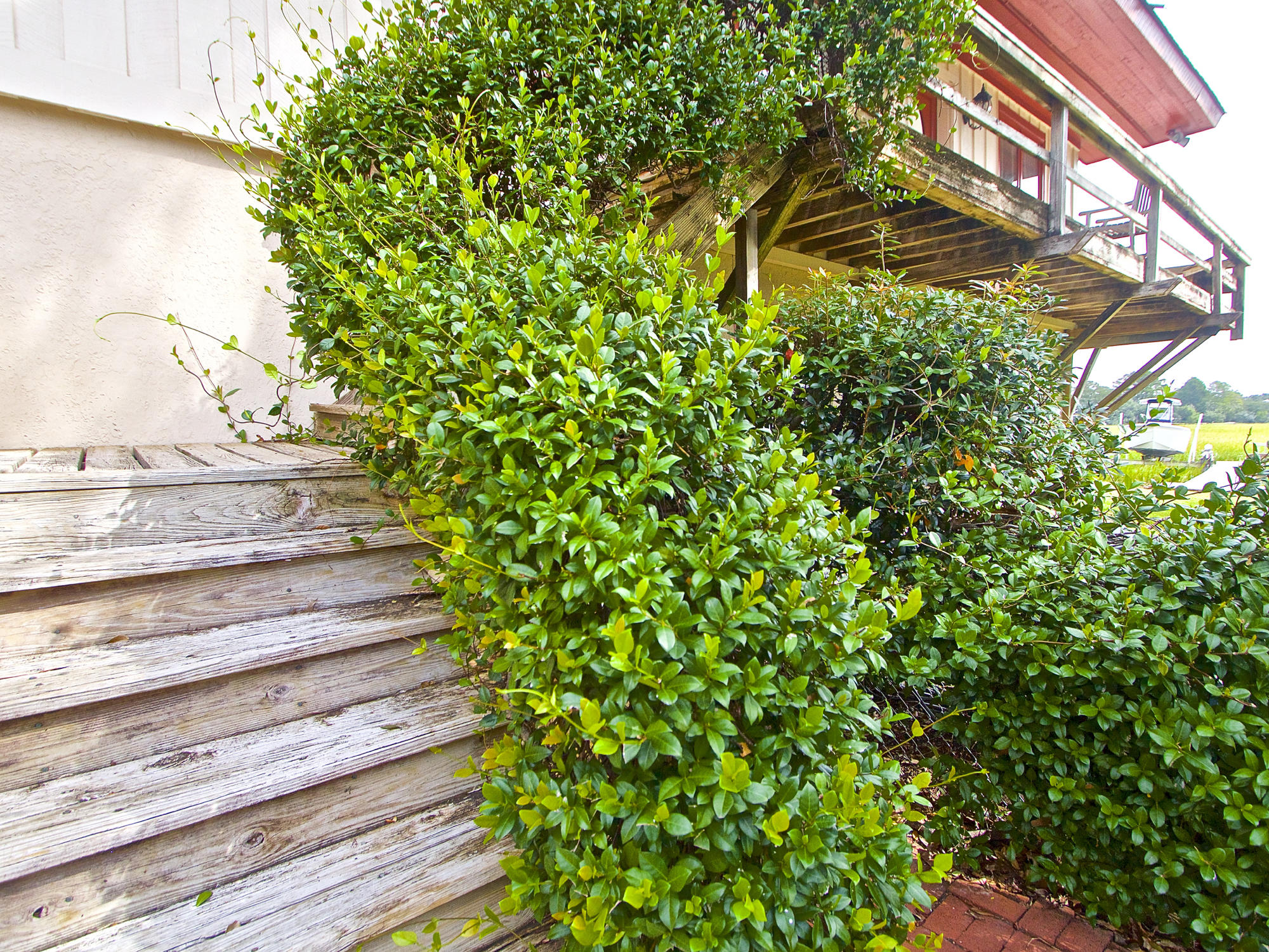 68 Rebellion Road Charleston, SC 29407 - Photo 16 of 44 IMG_5458
