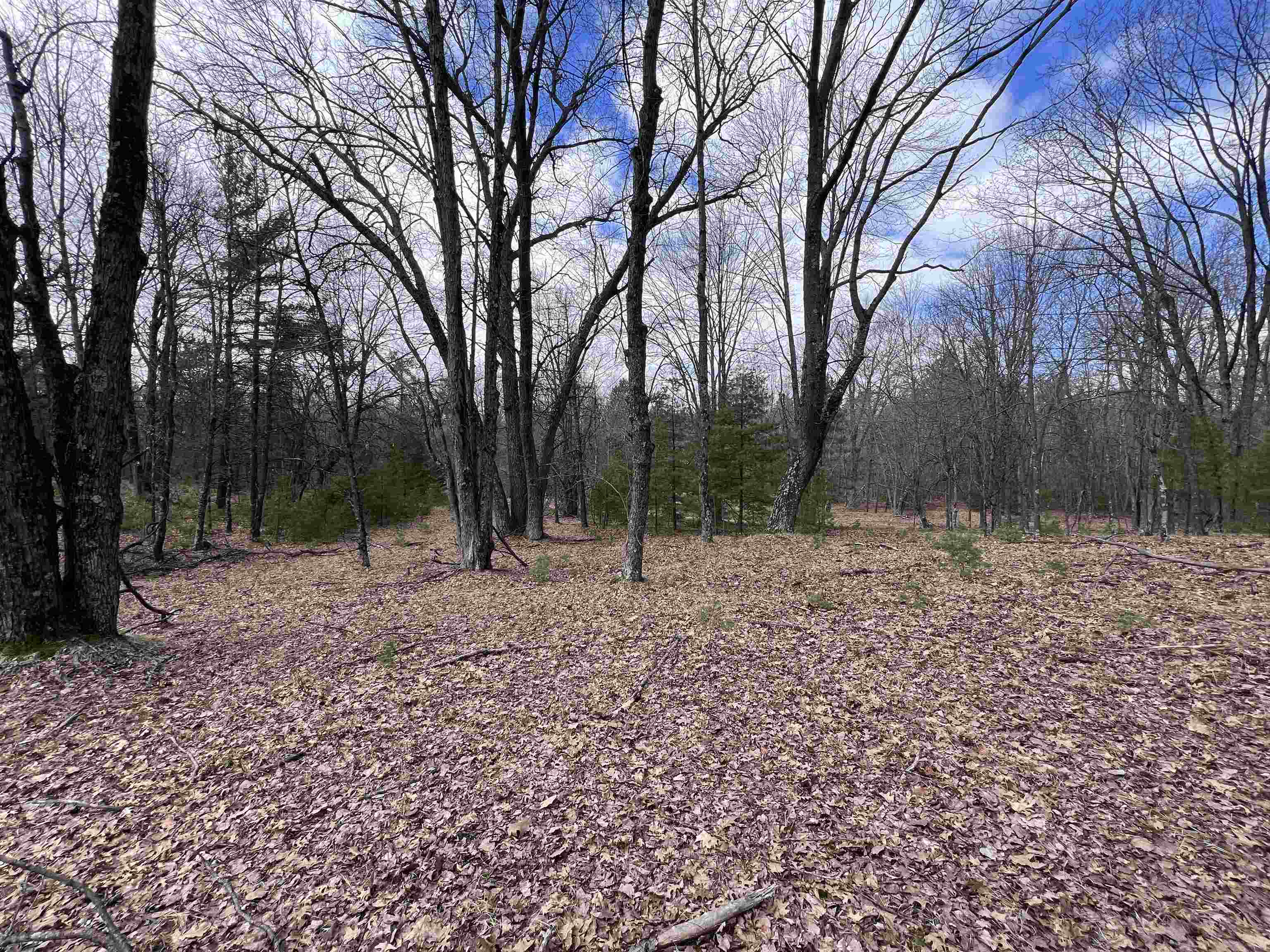 180 State Street Marinette, WI 54143 - Photo 5 of 8