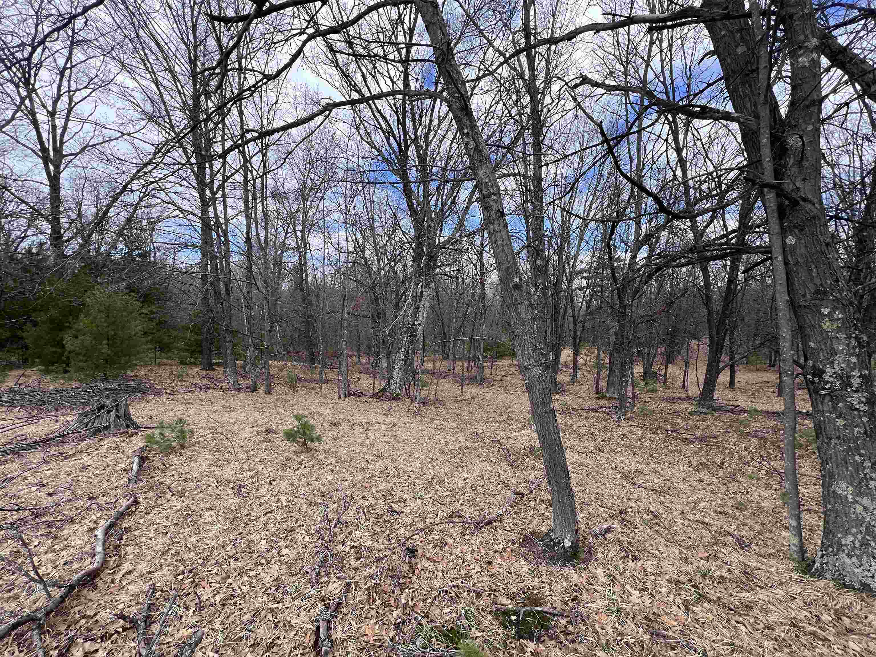 180 State Street Marinette, WI 54143 - Photo 7 of 8