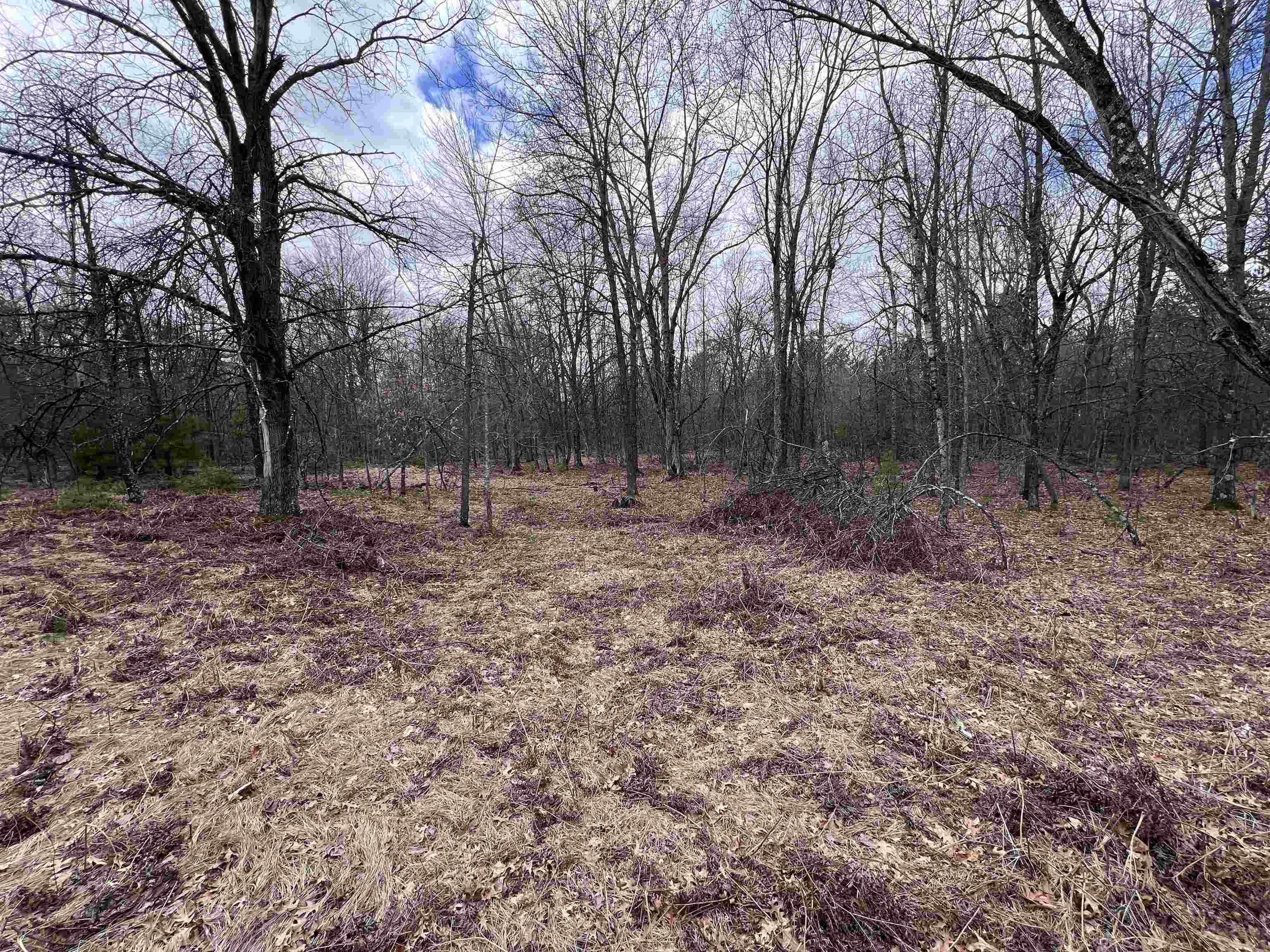 180 State Street Marinette, WI 54143 - Photo 8 of 8