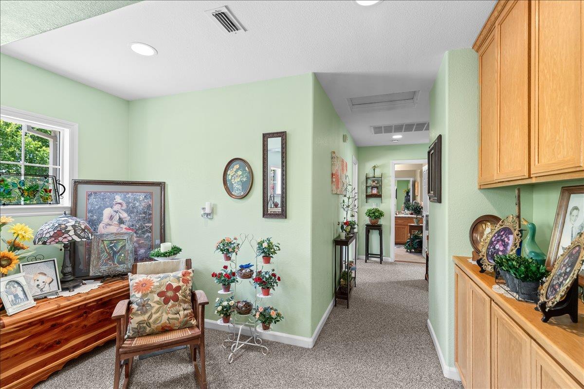 253 Shasta Avenue Ripon, CA 95366 - Photo 51 of 79 Gallery Image 51
