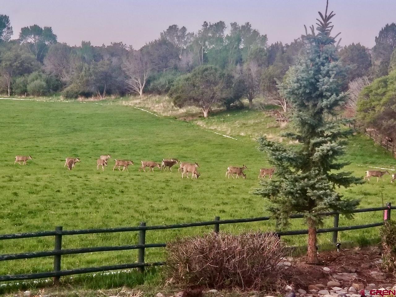 2637 7750th Road Crawford, CO 81415 - Photo 32 of 45
