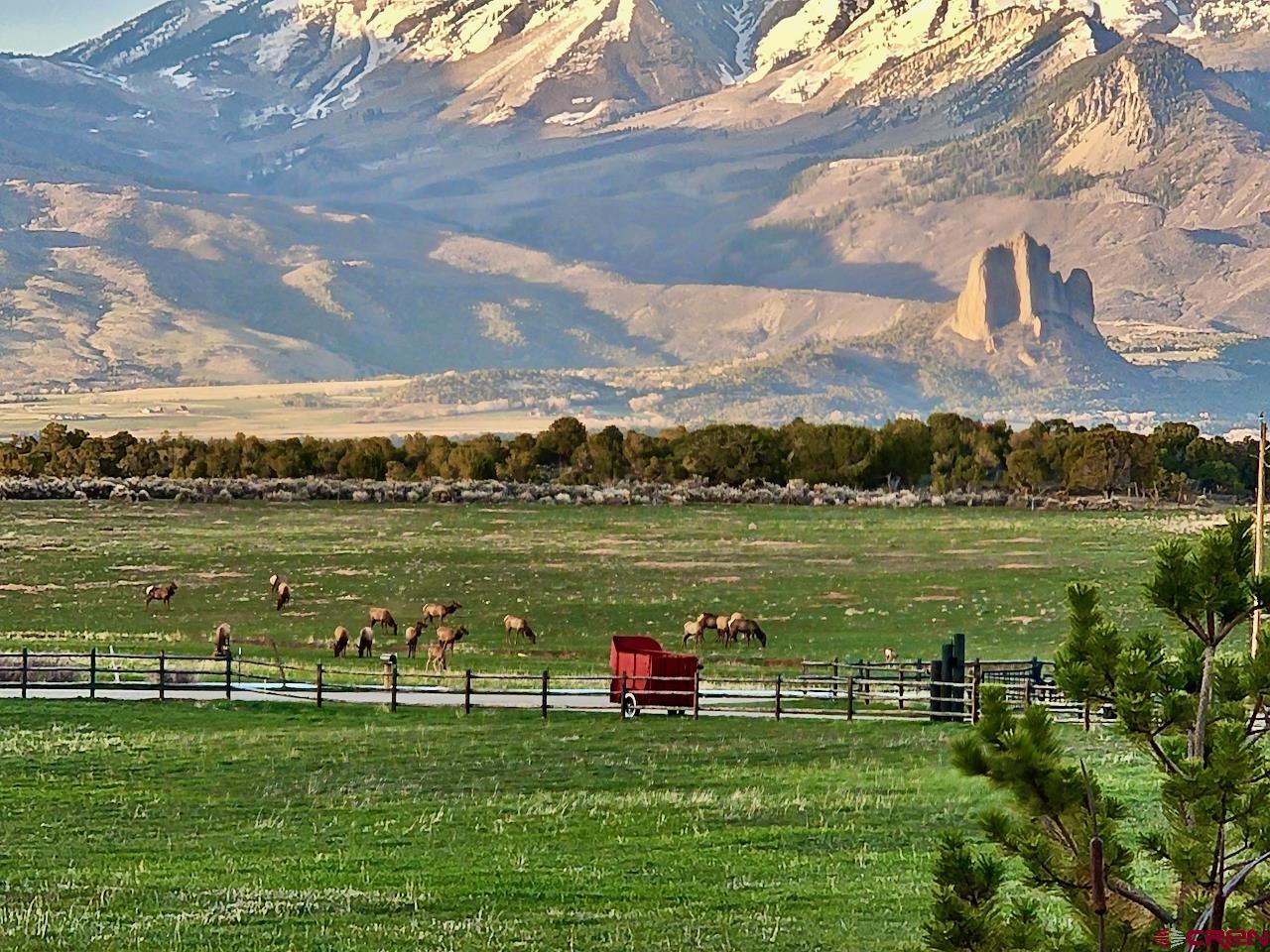 2637 7750th Road Crawford, CO 81415 - Photo 33 of 45