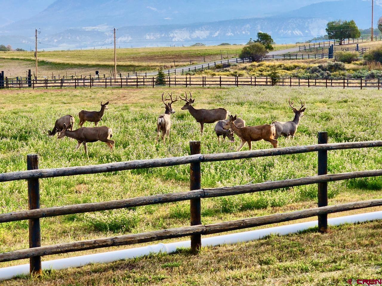 2637 7750th Road Crawford, CO 81415 - Photo 34 of 45