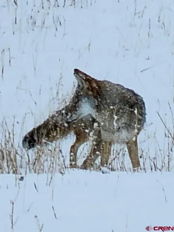 a view of a garden with a lake