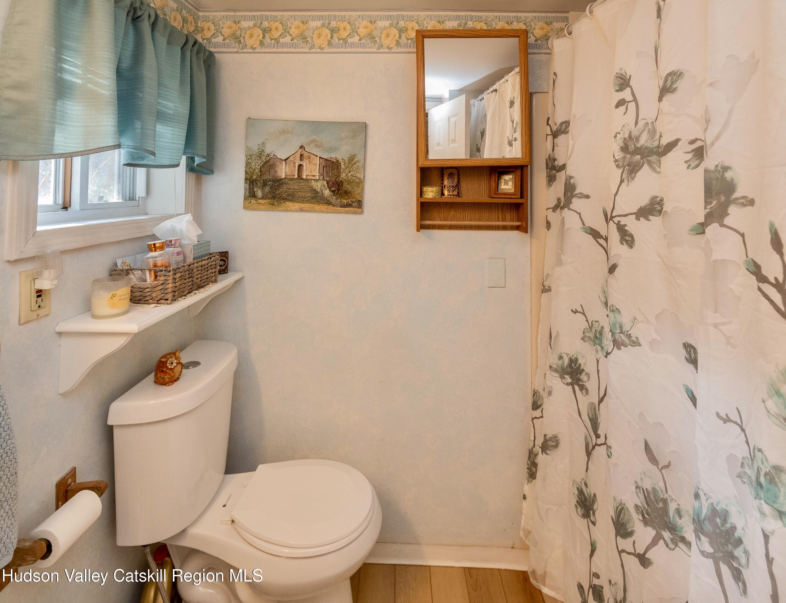 28 John Carle Road Saugerties, NY 12477 - Photo 21 of 51 DSC_8980