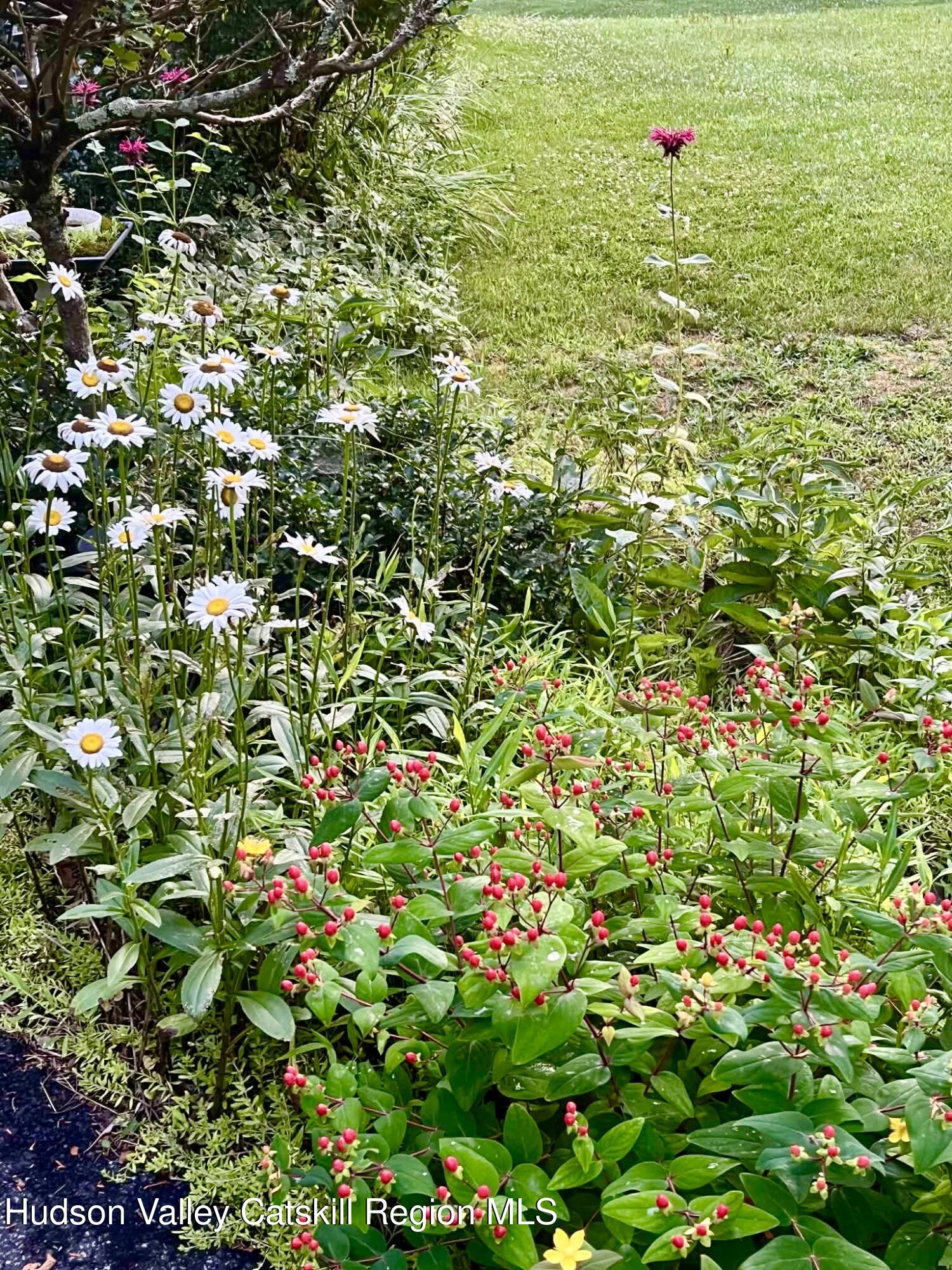 28 John Carle Road Saugerties, NY 12477 - Photo 50 of 51 att.lHgRN0nLL5-ZJ8Lu214b4H47hrJH58m4Tf81