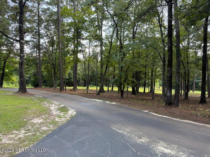driveway to back