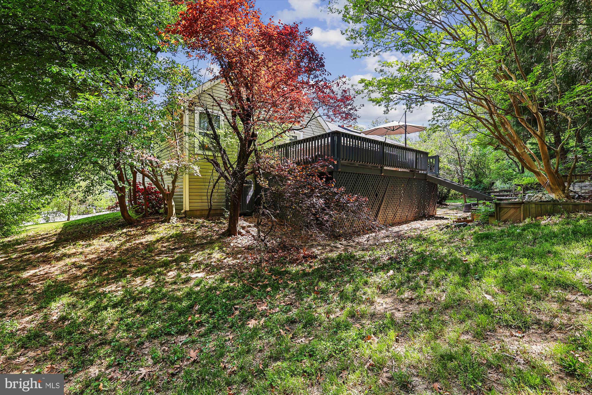2904 Memory Lane Silver Spring, MD 20904 - Photo 3 of 39 Back Elevation