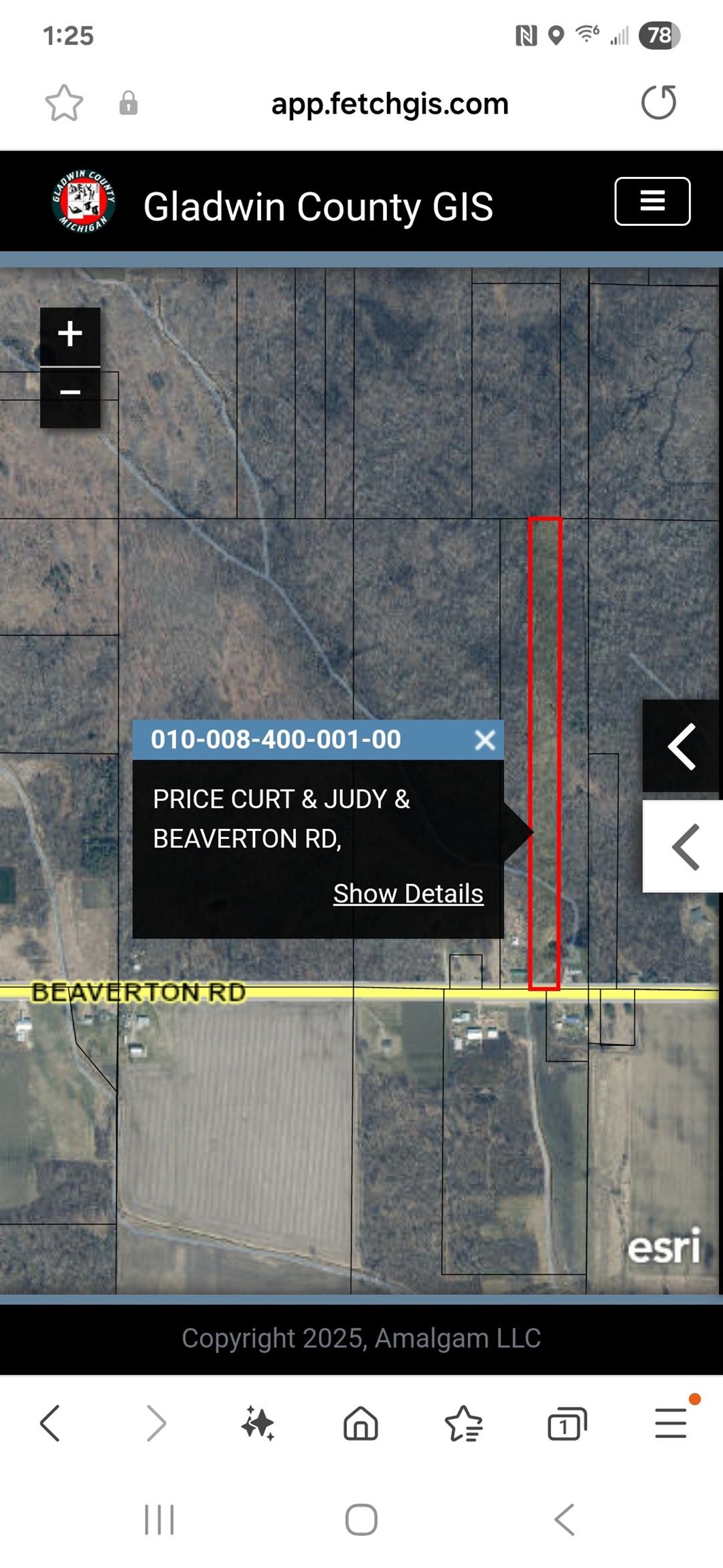 10-acres Beaverton Road Beaverton, MI 48612 - Photo 6 of 6