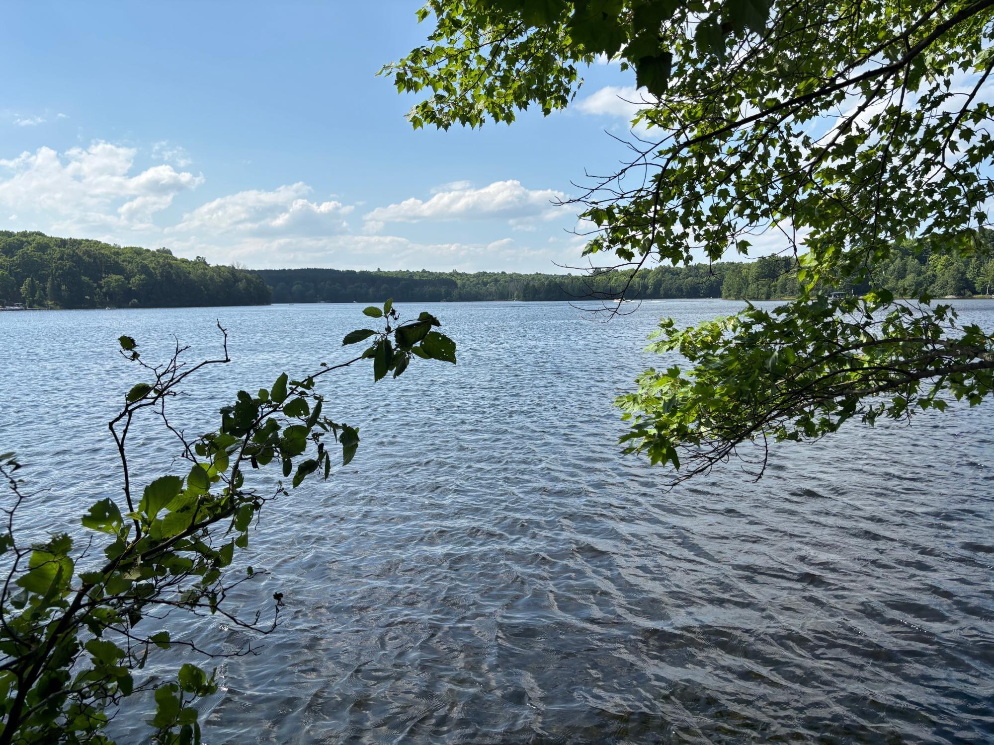 Lot 33 Nicolet Shores Road Phelps, WI 54554 - Photo 15 of 21 Gallery Image 15
