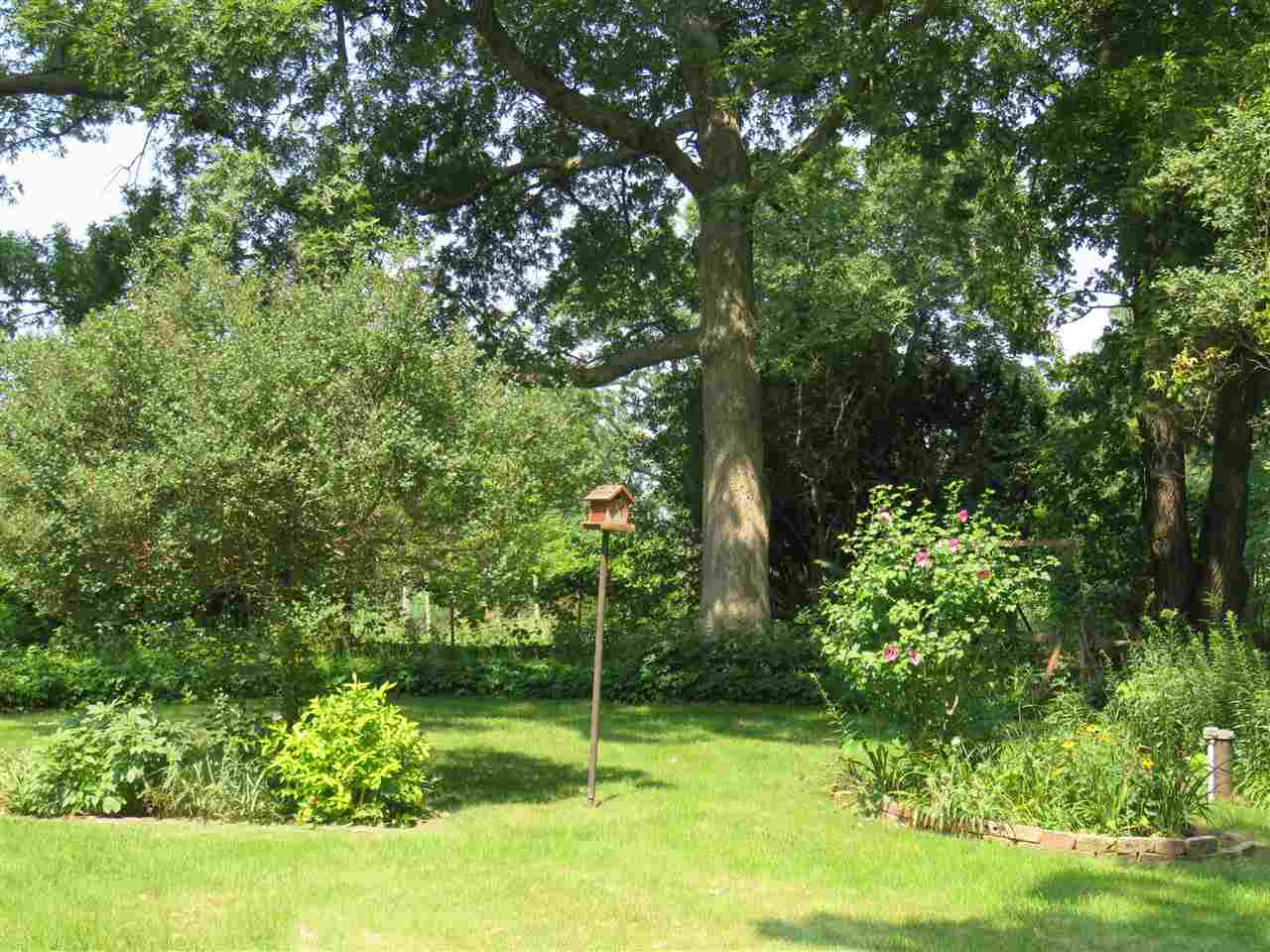 8766 Lovesee Road Roscoe, IL 61073 - Photo 6 of 27 a view of a yard with a tree