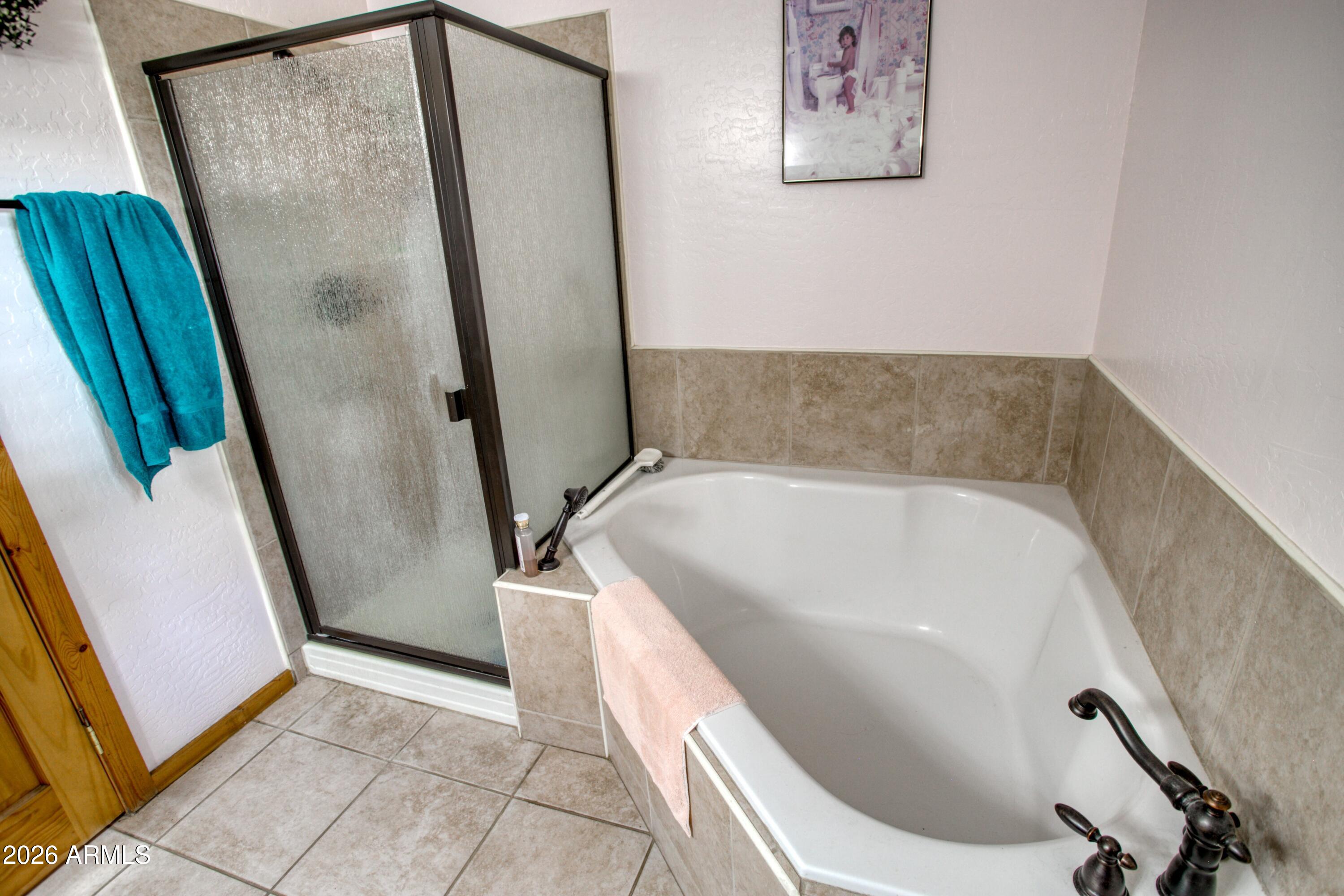 2741 Spring Drive Lakeside, AZ 85929 - Photo 10 of 30
