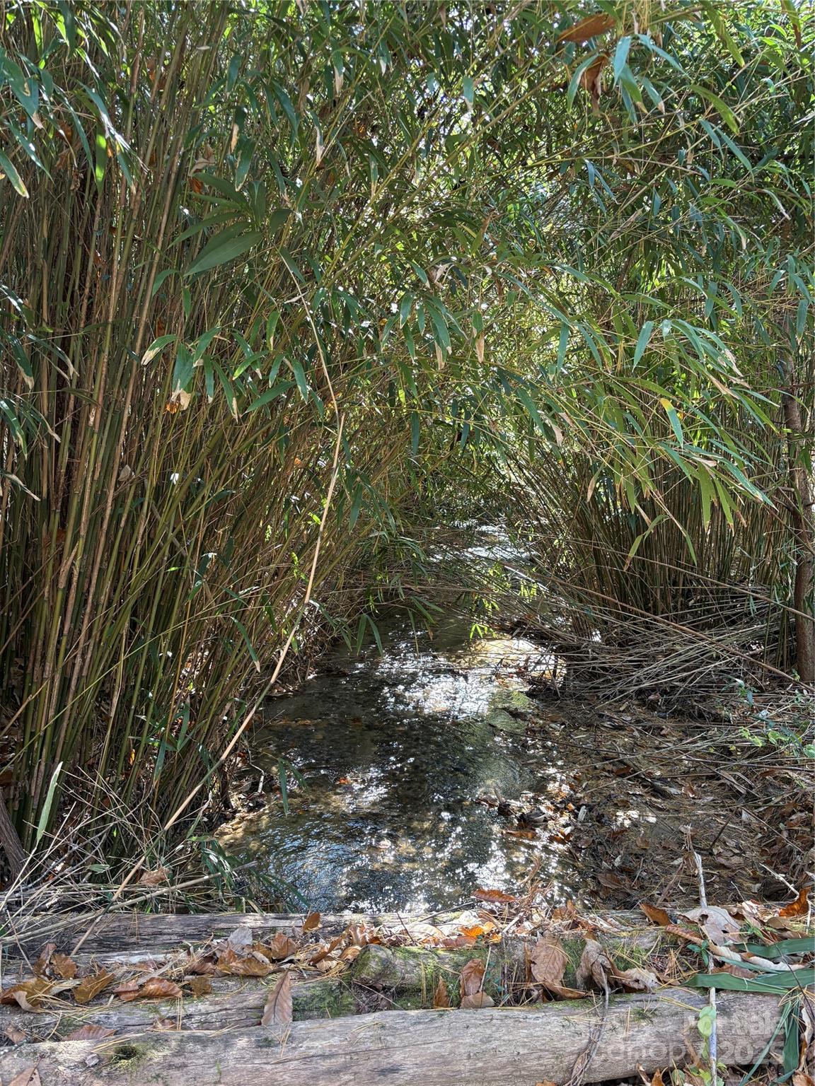 276 Cedar Creek Road Old Fort, NC 28762 - Photo 12 of 20 a view of a yard