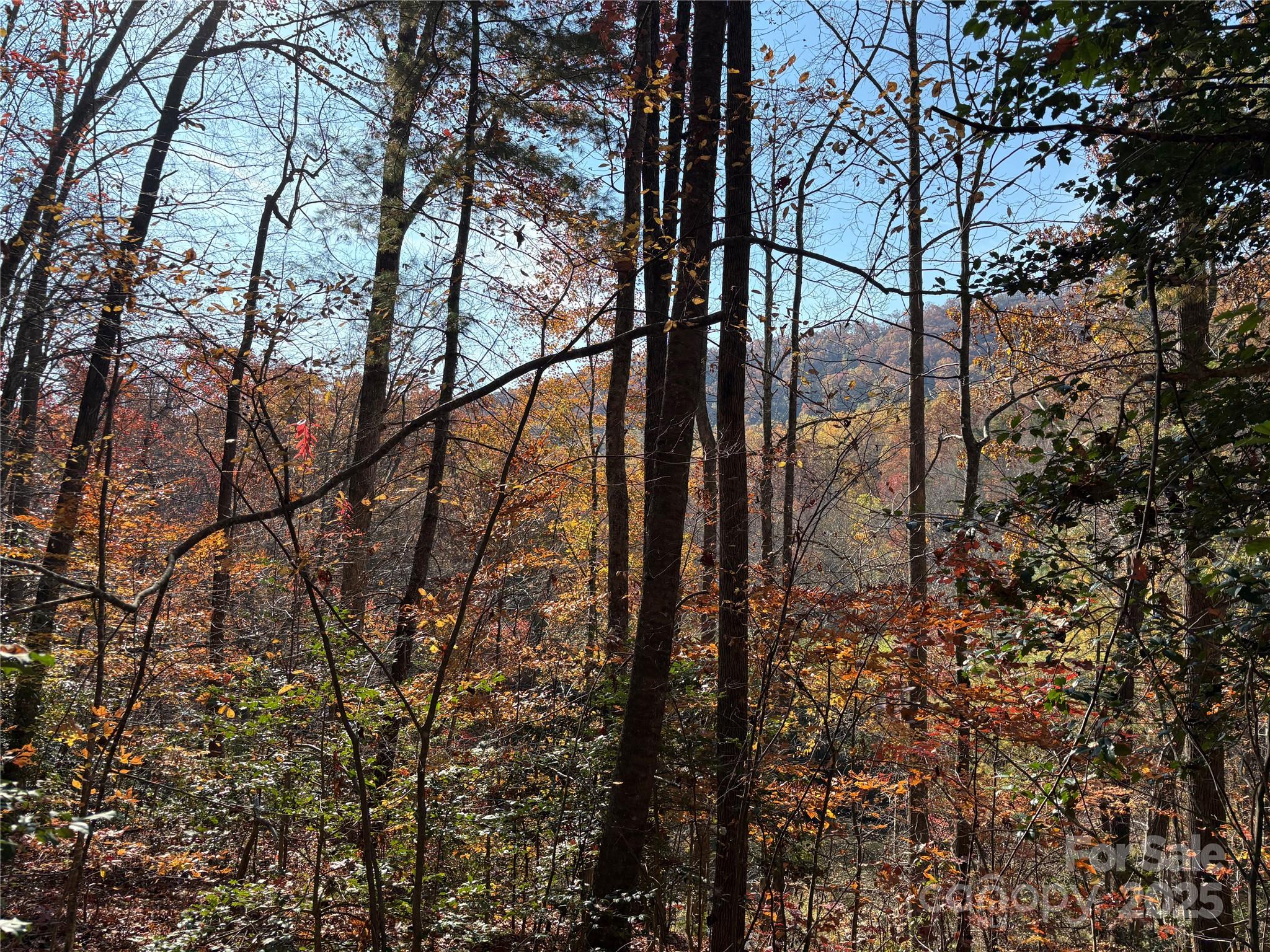 276 Cedar Creek Road Old Fort, NC 28762 - Photo 13 of 20