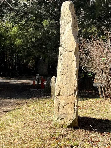a view of a large tree with green space