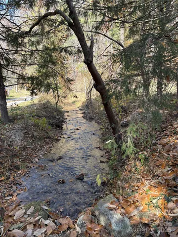 a view of a yard with trees