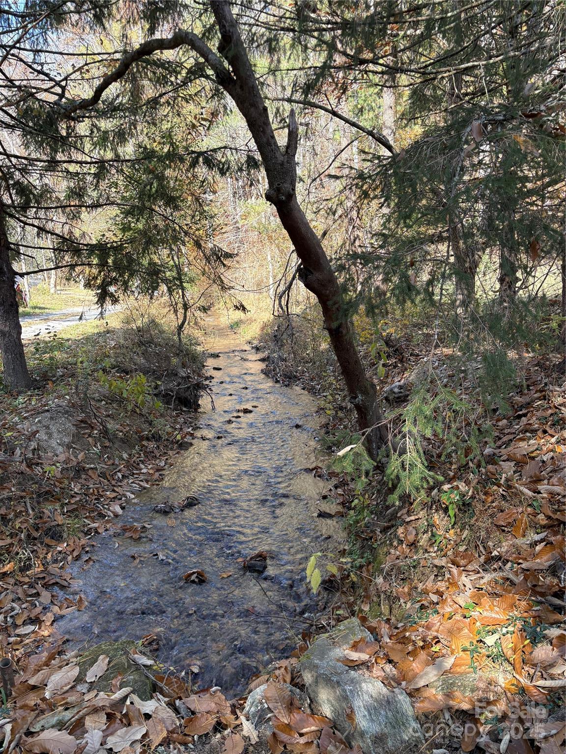 276 Cedar Creek Road Old Fort, NC 28762 - Photo 18 of 20 a view of a large tree with green space