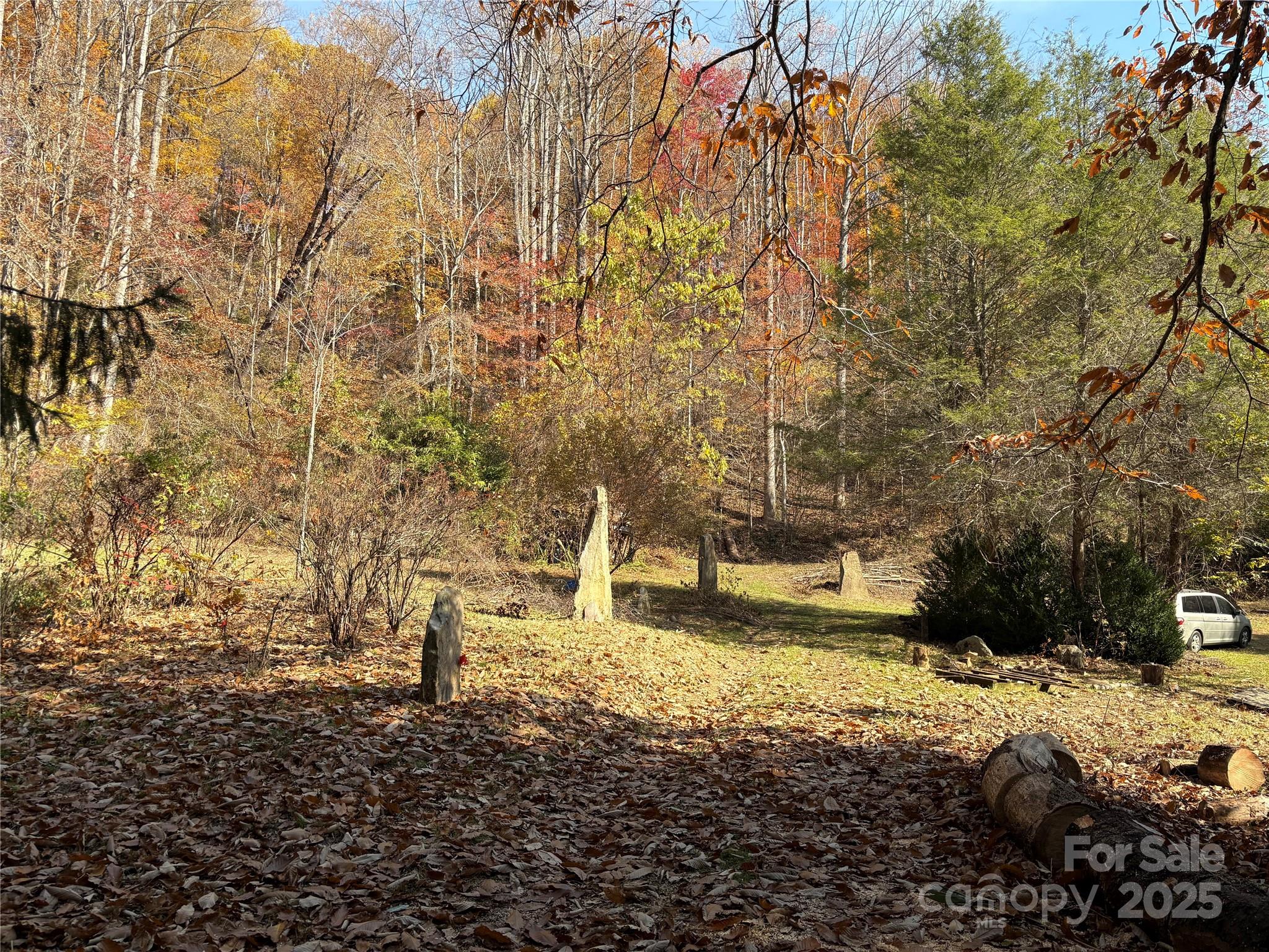 276 Cedar Creek Road Old Fort, NC 28762 - Photo 19 of 20 a view of a yard with trees