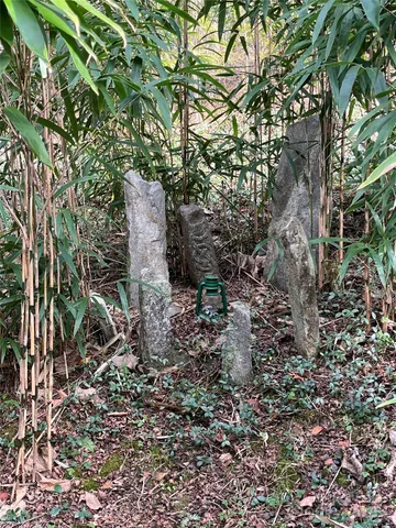 $325,000 | 276 Cedar Creek Road, Old Fort, NC 28762