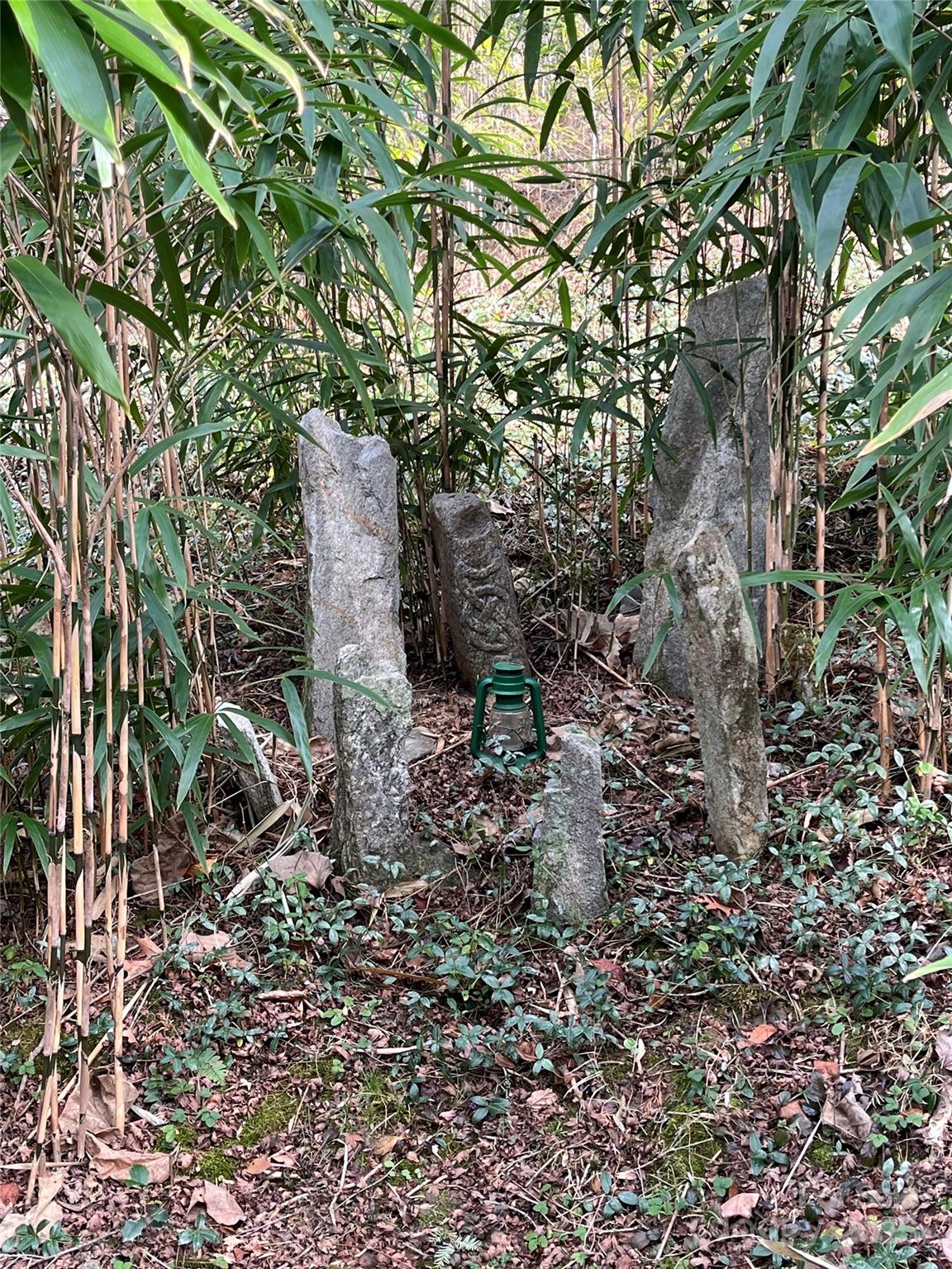 276 Cedar Creek Road Old Fort, NC 28762 - Photo 20 of 20 a backyard of a house with lots of green space