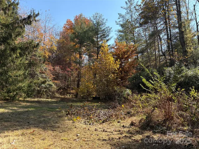 a view of outdoor space with mountain view