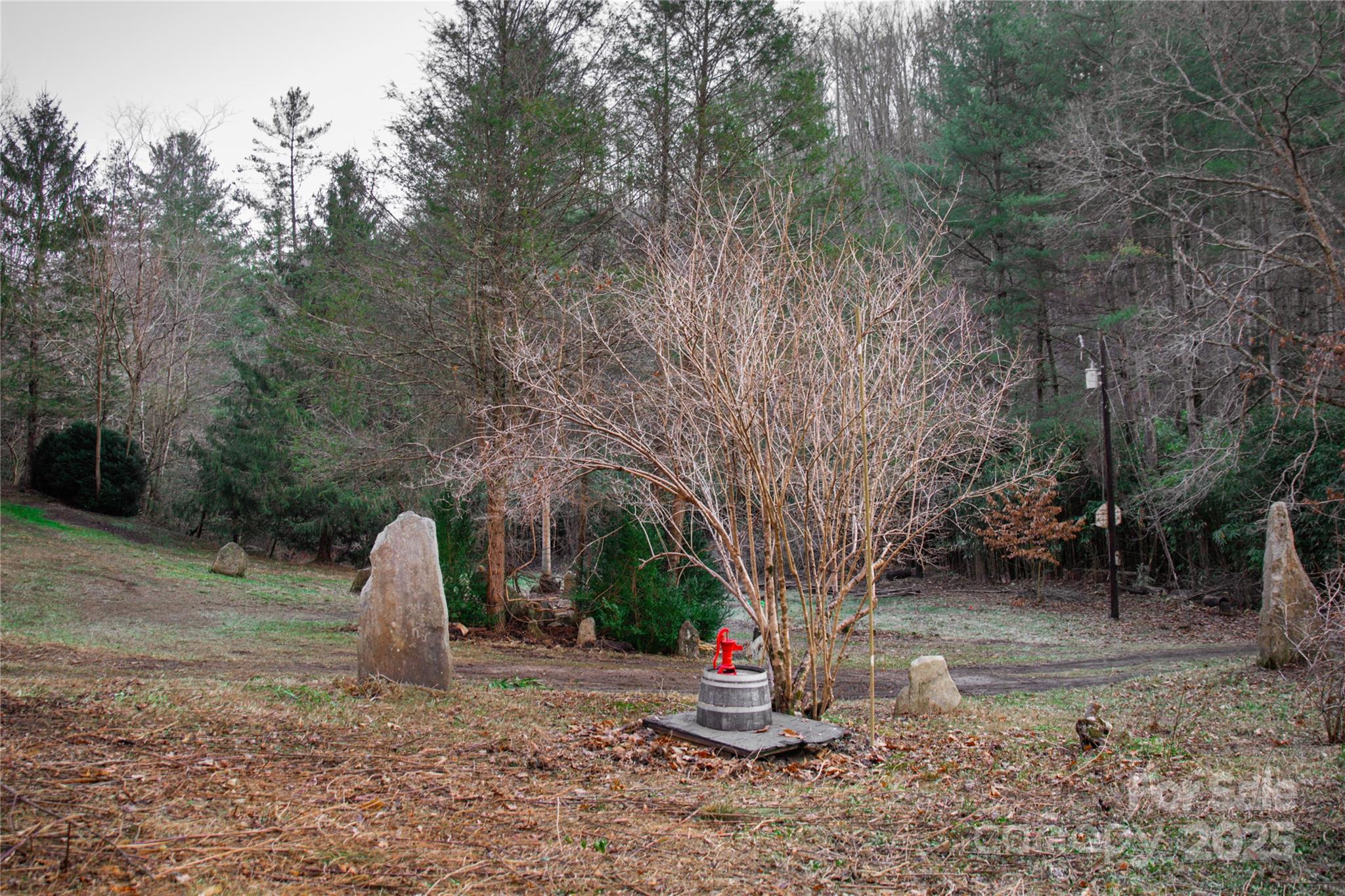 276 Cedar Creek Road Old Fort, NC 28762 - Photo 6 of 20 a view of a tiny house with a tree