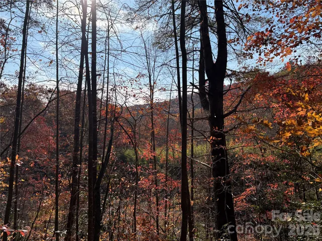 a view of outdoor space