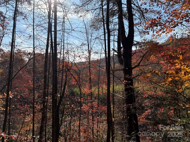 a view of outdoor space