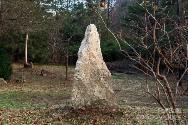 a view of a yard with plants