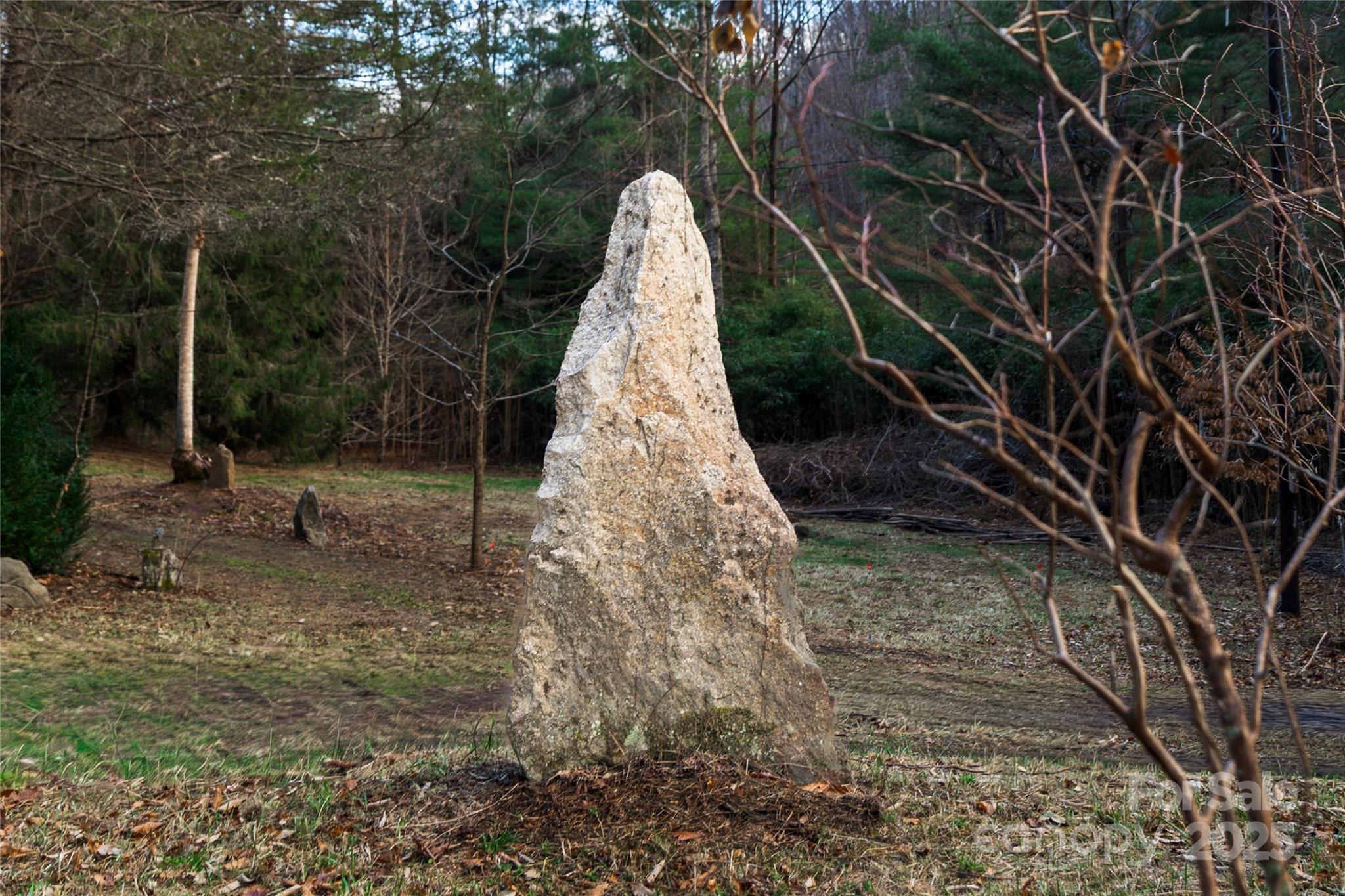 276 Cedar Creek Road Old Fort, NC 28762 - Photo 8 of 20 a view of a yard with plants