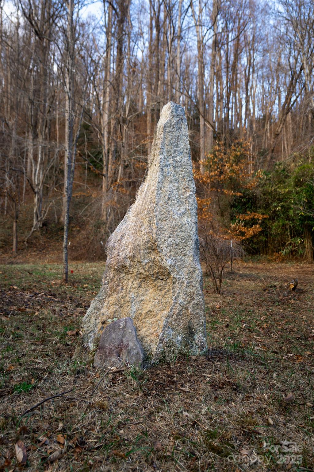 276 Cedar Creek Road Old Fort, NC 28762 - Photo 9 of 20 a pathway of a yard